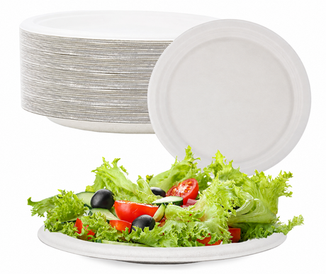 Bagasse
