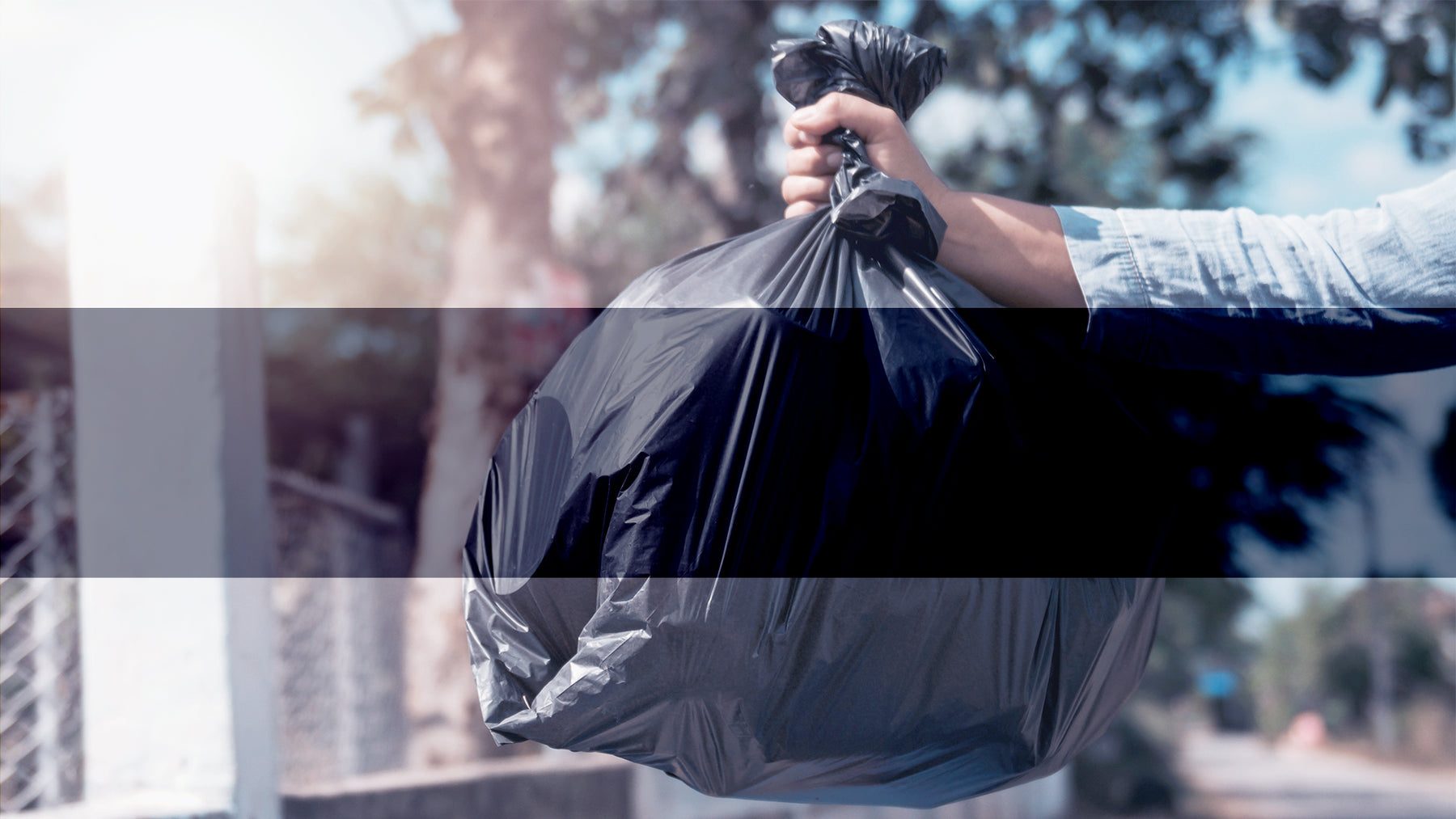 Reli. 13 Gallon Trash Bags (1000 Count Bulk) Clear Garbage Bags, Black
